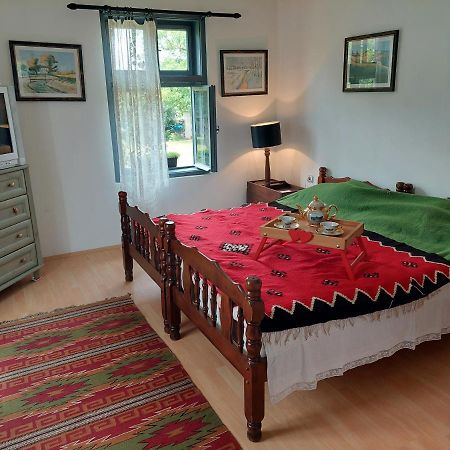 Apartmani Petkovic 226 Velika Drenova Extérieur photo