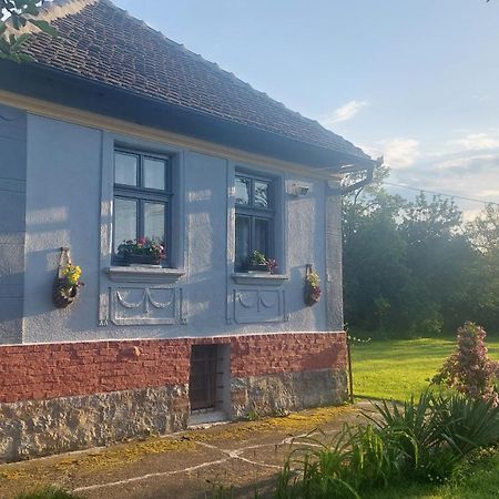 Apartmani Petkovic 226 Velika Drenova Extérieur photo