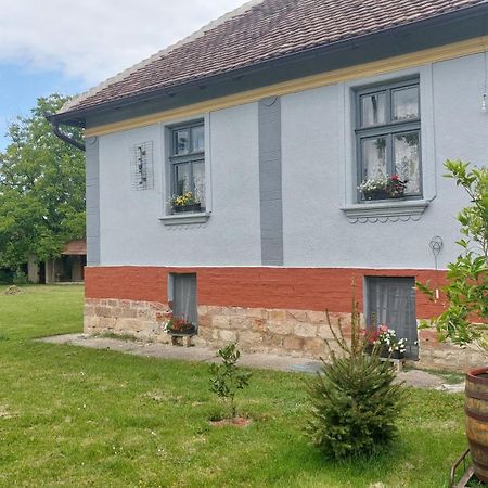 Apartmani Petkovic 226 Velika Drenova Extérieur photo