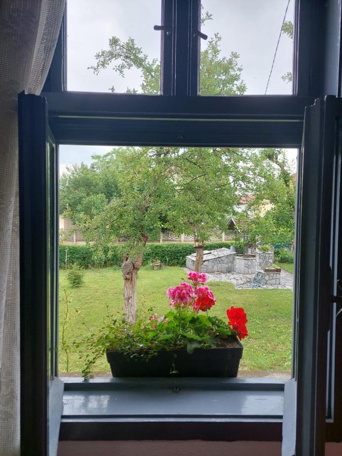 Apartmani Petkovic 226 Velika Drenova Extérieur photo