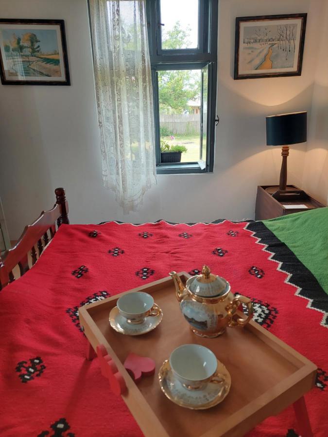 Apartmani Petkovic 226 Velika Drenova Extérieur photo