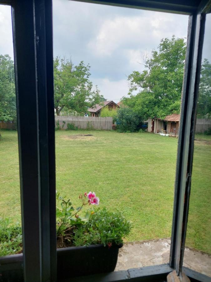 Apartmani Petkovic 226 Velika Drenova Extérieur photo