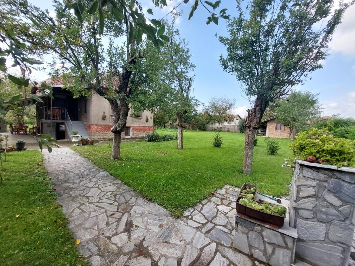 Apartmani Petkovic 226 Velika Drenova Extérieur photo