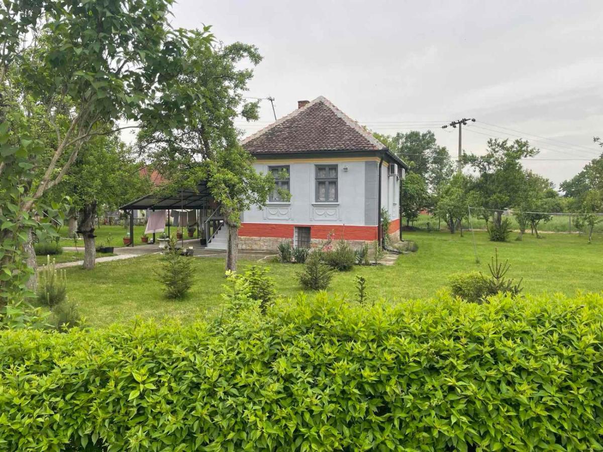 Apartmani Petkovic 226 Velika Drenova Extérieur photo